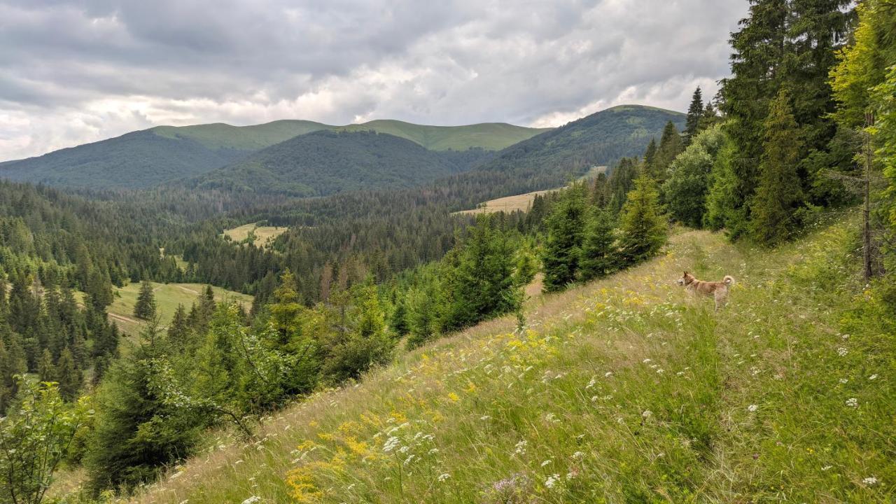 Zatishok Bilya Richky Lodge Pilipets