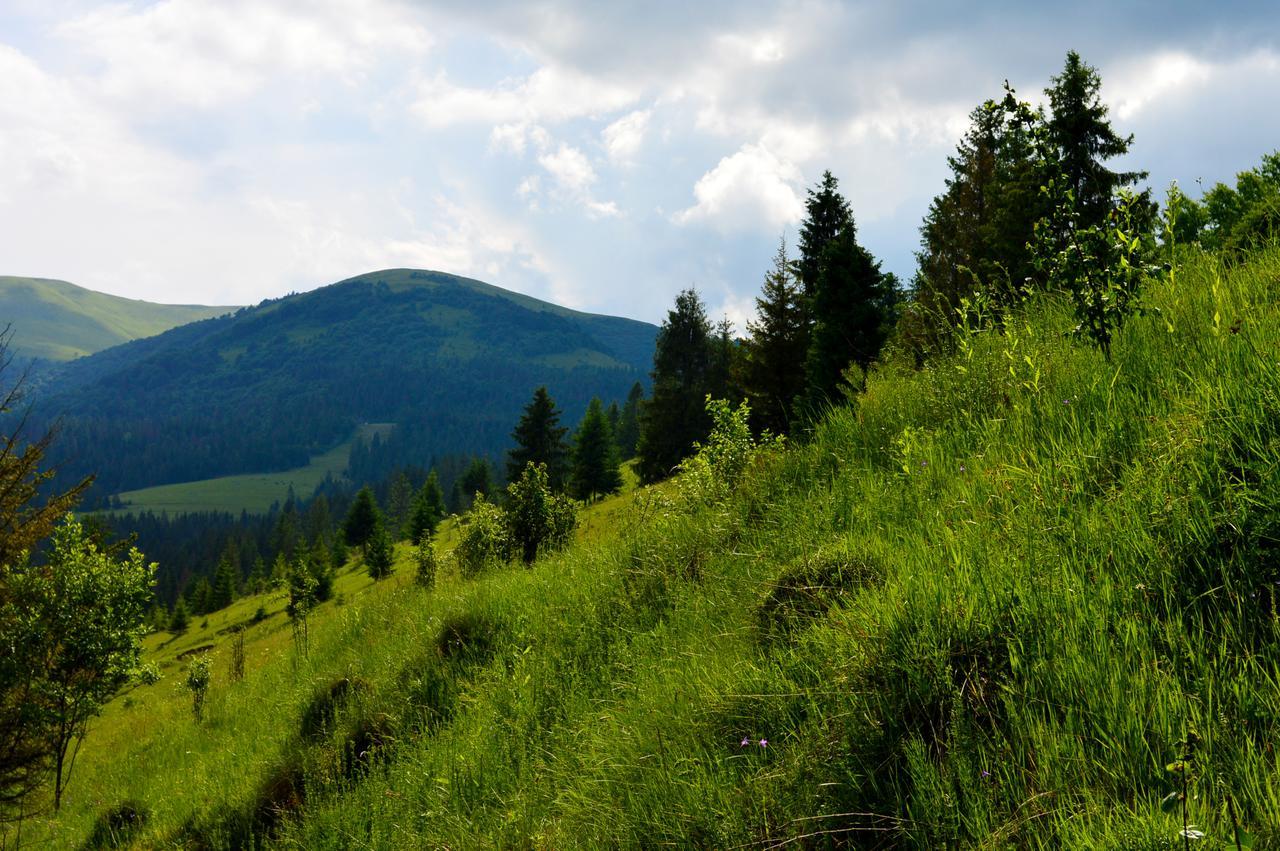 Lodge Zatishok Bilya Richky Pilipets