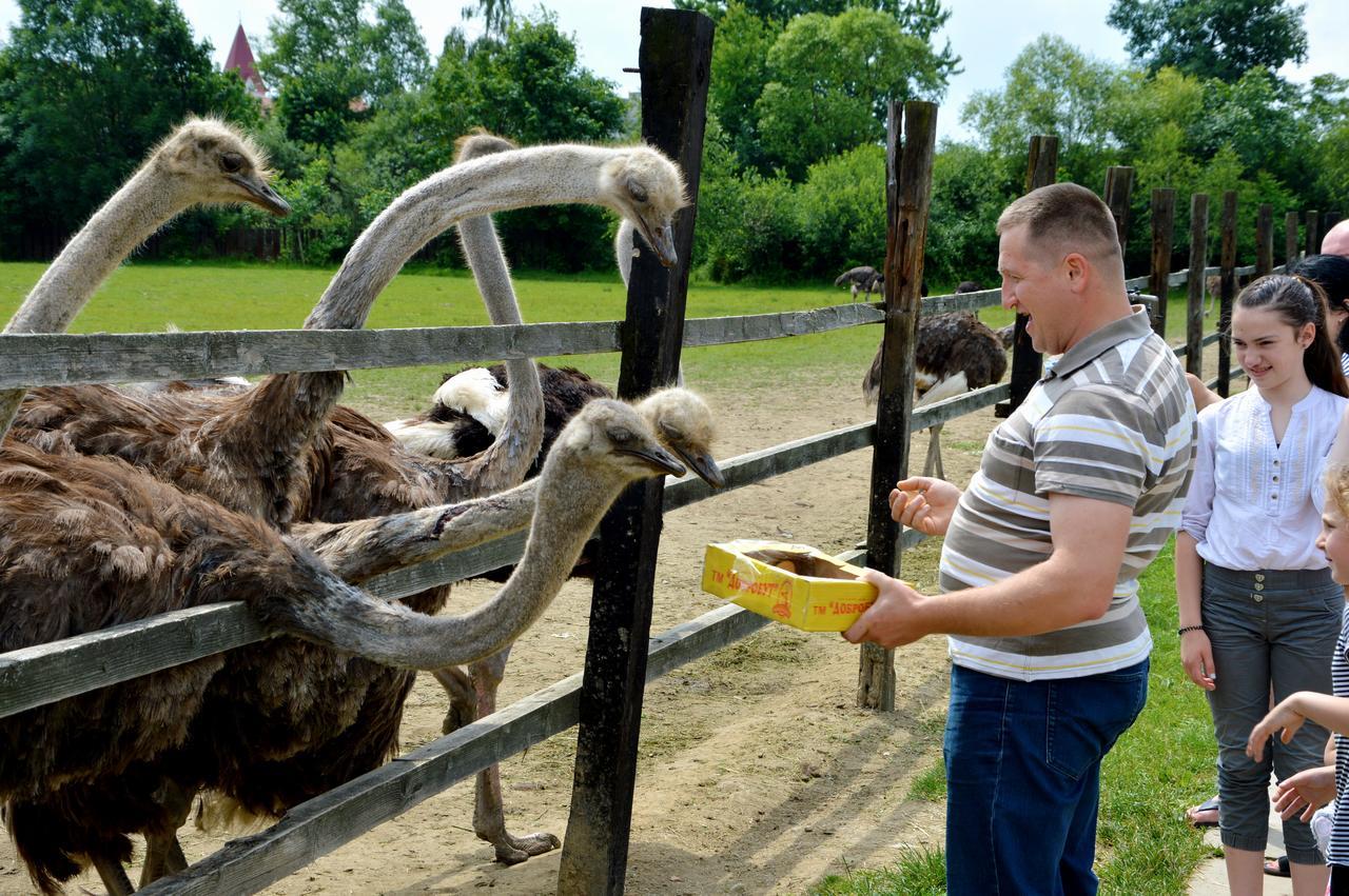 Zatishok Bilya Richky Lodge Pilipets