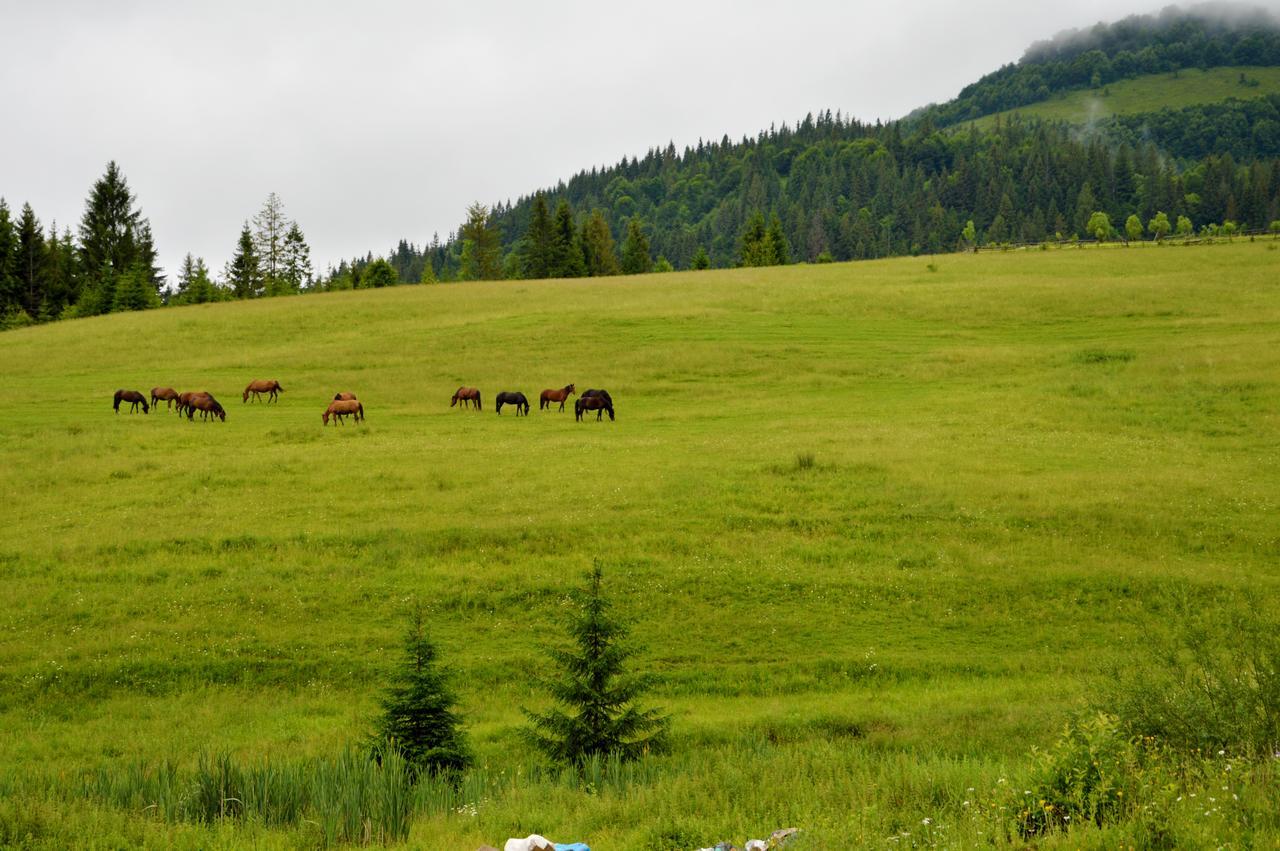 Zatishok Bilya Richky Lodge *